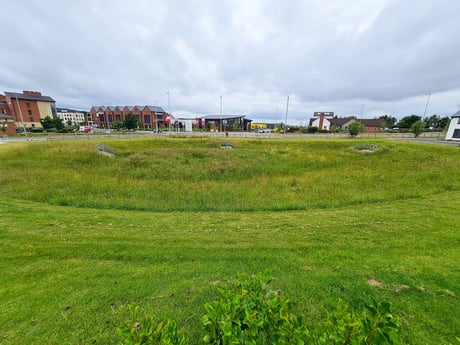 (1) Fully vegetated SUDS basin, Telford