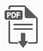 PDF Icon