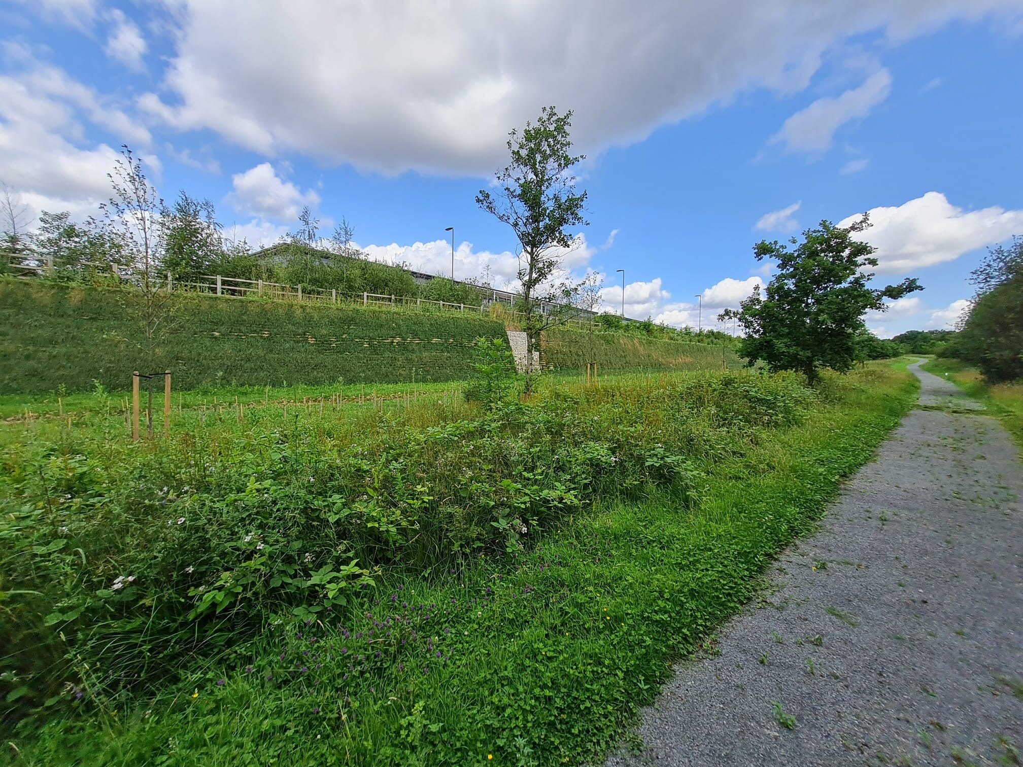 Blythe Valley Vegetated-1